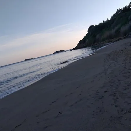 Enjoy The Silence