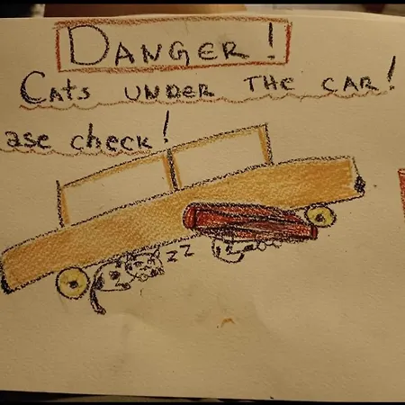 بيت للعطل Enjoy The Silence *